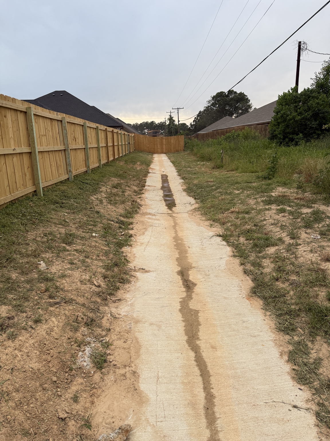 Fence line after cleanup