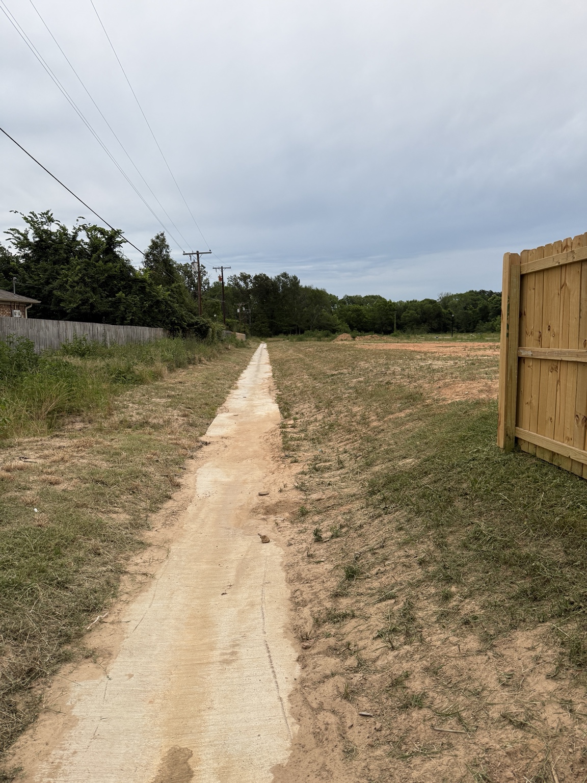 Landscape planting work
