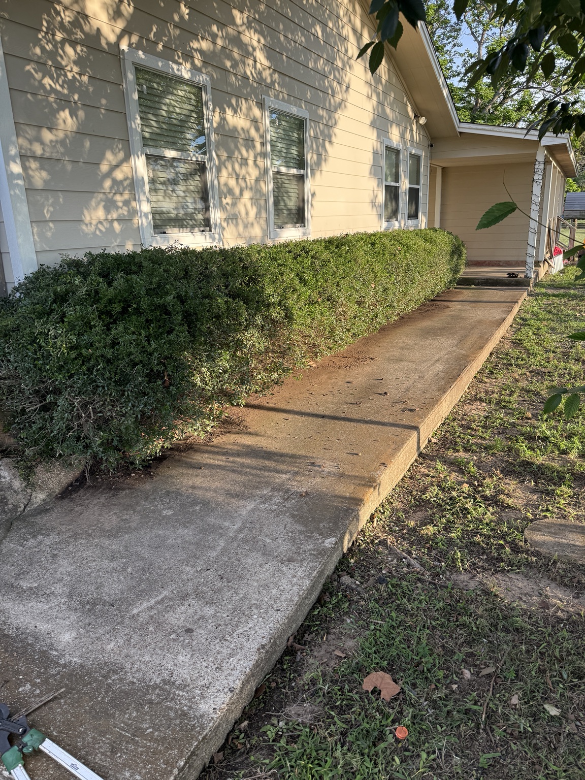 Hedge trimming after cleanup