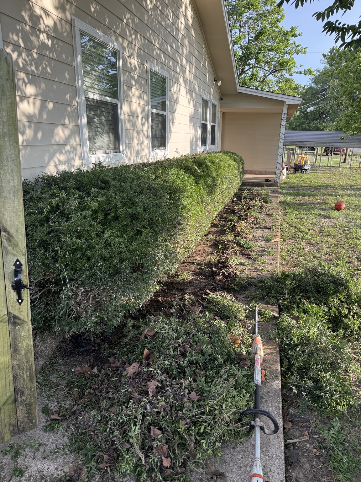 Hedge trimming before cleanup
