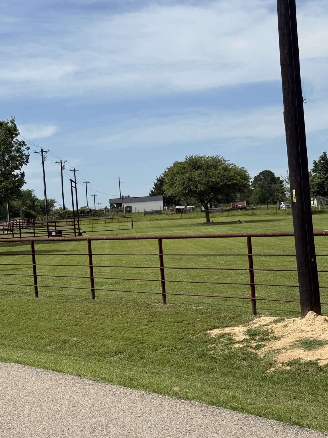 Freshly maintained lawn in Athens Texas